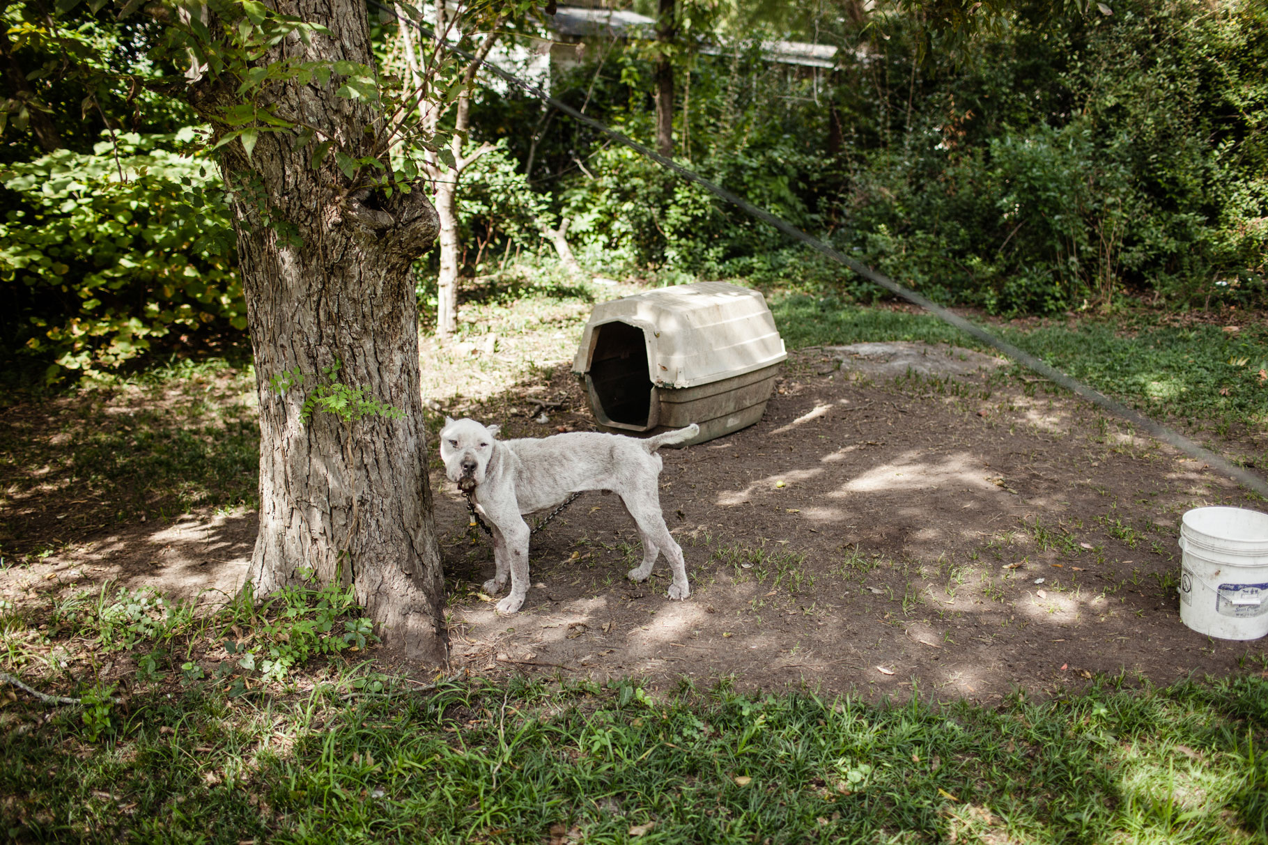 deep-south-32